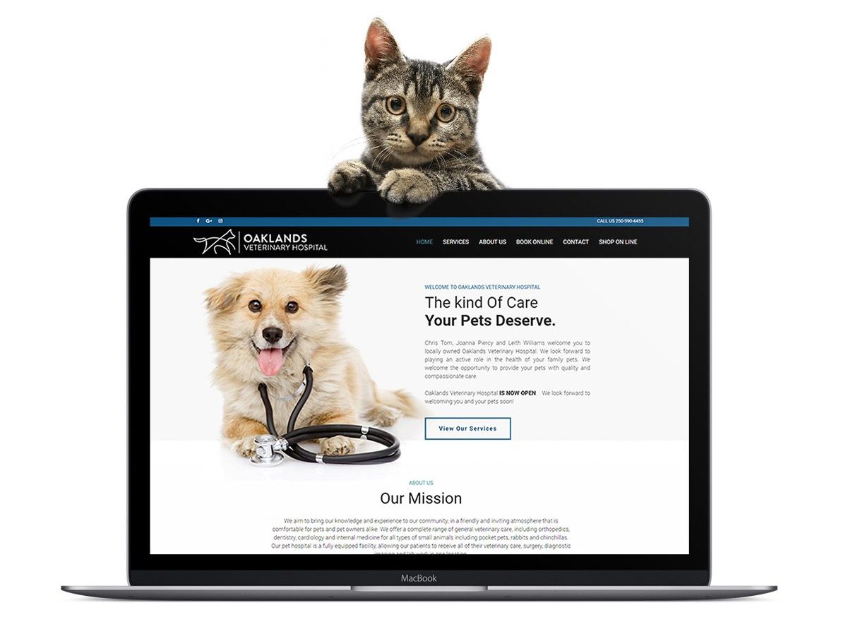 Veterinarian Website Design Example